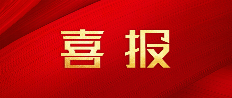 三環(huán)榮膺大灣區(qū)知識產(chǎn)權(quán)領(lǐng)域三大重磅獎項，彰顯行業(yè)標(biāo)桿力量